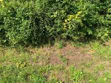 Charger l'image dans la galerie, Larvikite 27