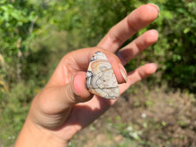 Charger l'image dans la galerie, Agate Crazy Lace 11