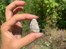 Charger l'image dans la galerie, Agate Crazy Lace 11