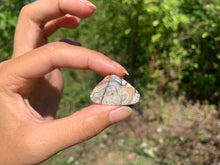 Charger l'image dans la galerie, Agate Crazy Lace 11