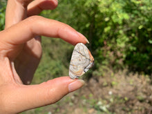 Charger l'image dans la galerie, Agate Crazy Lace 11