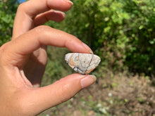 Charger l'image dans la galerie, Agate Crazy Lace 11