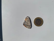 Charger l'image dans la galerie, Agate Crazy Lace 11