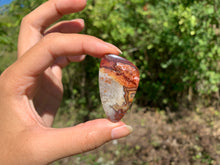 Charger l'image dans la galerie, Agate Crazy Lace 12