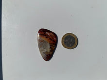 Charger l'image dans la galerie, Agate Crazy Lace 12