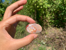 Charger l'image dans la galerie, VENDU Agate Crazy Lace 13