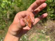 Charger l'image dans la galerie, Agate Crazy Lace 16