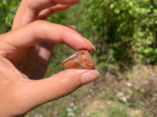 Charger l'image dans la galerie, Agate Crazy Lace 16