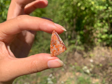 Charger l'image dans la galerie, Agate Crazy Lace 16