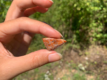 Charger l'image dans la galerie, Agate Crazy Lace 16