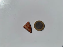 Charger l'image dans la galerie, Agate Crazy Lace 16