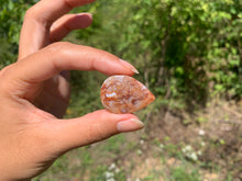 Charger l'image dans la galerie, Agate Crazy Lace 17