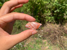 Charger l'image dans la galerie, VENDU Agate Crazy Lace 19