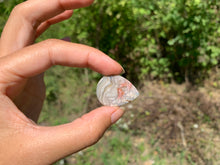 Charger l'image dans la galerie, Agate Crazy Lace 20