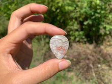 Charger l'image dans la galerie, Agate Crazy Lace 20