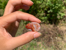 Charger l'image dans la galerie, Agate Crazy Lace 21