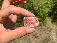 Charger l'image dans la galerie, Agate Crazy Lace 24