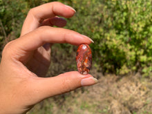 Charger l'image dans la galerie, VENDU Agate Crazy Lace 25