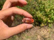 Charger l'image dans la galerie, VENDU Agate Crazy Lace 25