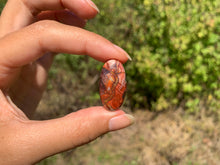 Charger l'image dans la galerie, VENDU Agate Crazy Lace 25