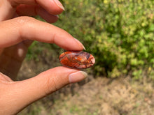 Charger l'image dans la galerie, VENDU Agate Crazy Lace 25