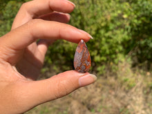 Charger l'image dans la galerie, VENDU Agate Crazy Lace 26