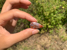 Charger l'image dans la galerie, VENDU Agate Crazy Lace 26