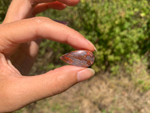 Charger l'image dans la galerie, VENDU Agate Crazy Lace 26