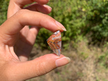 Charger l'image dans la galerie, Agate Crazy Lace 27