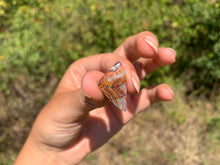 Charger l'image dans la galerie, Agate Crazy Lace 27