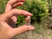 Charger l'image dans la galerie, Agate Crazy Lace 27