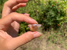 Charger l'image dans la galerie, Agate Crazy Lace 27