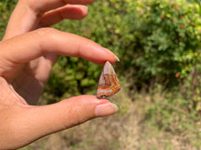 Charger l'image dans la galerie, Agate Crazy Lace 27