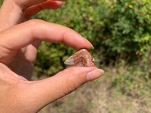 Charger l'image dans la galerie, Agate Crazy Lace 27