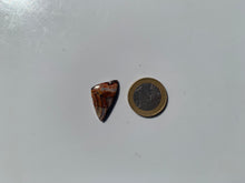 Charger l'image dans la galerie, Agate Crazy Lace 27