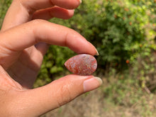 Charger l'image dans la galerie, VENDU Agate Crazy Lace 28