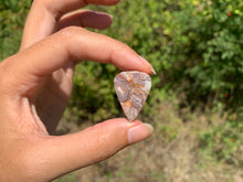 Charger l'image dans la galerie, Agate Crazy Lace 29