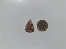 Charger l'image dans la galerie, Agate Crazy Lace 29