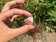 Charger l'image dans la galerie, Agate Crazy Lace 32