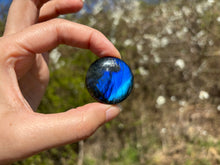 Charger l'image dans la galerie, Labradorite 317