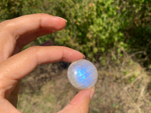 Charger l'image dans la galerie, VENDU Labradorite blanche d'Afrique 49