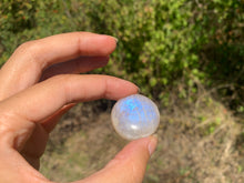Charger l'image dans la galerie, VENDU Labradorite blanche d'Afrique 49