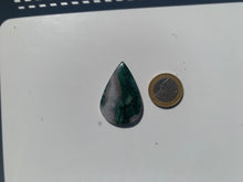 Charger l'image dans la galerie, Agate Mousse 7