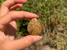 Charger l'image dans la galerie, VENDU Bronzite 17