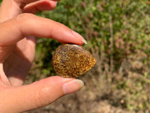 Charger l'image dans la galerie, VENDU Bronzite 17