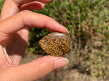 Charger l'image dans la galerie, VENDU Bronzite 17