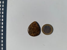 Charger l'image dans la galerie, VENDU Bronzite 17