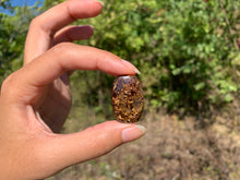 Charger l'image dans la galerie, Bronzite 19