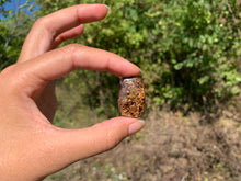 Charger l'image dans la galerie, Bronzite 19