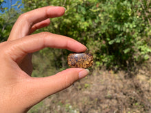 Charger l'image dans la galerie, Bronzite 19